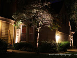 Landscape Lighting Overland Park