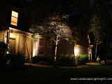 Landscape Lighting Overland Park