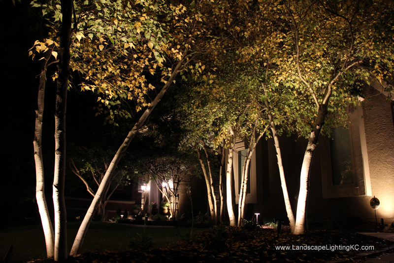 Landscape Lighting Overland Park